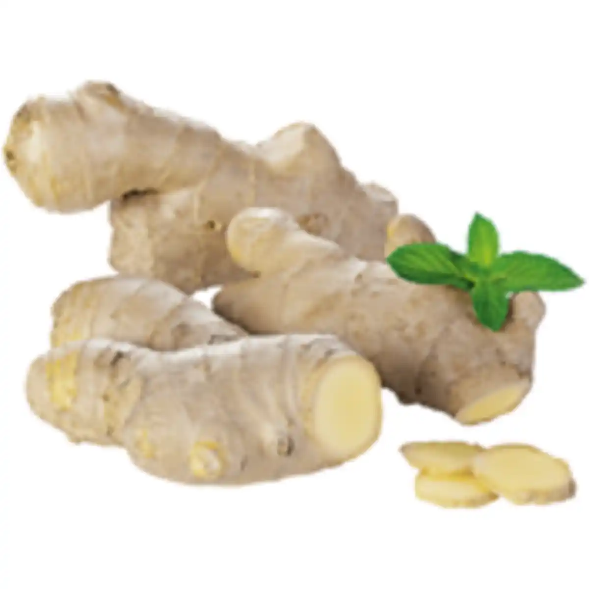 Bild 1 von Bio Ingwer