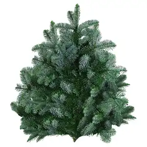 GARDENLINE Tannenhandbunde 2.500 g, Nobilis