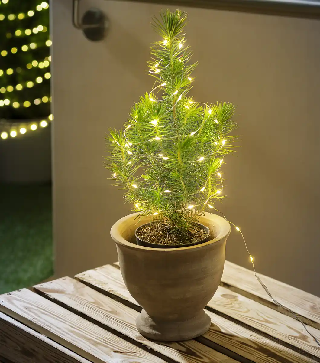 Bild 4 von IDEENWELT Micro-LED-Lichterkette – Draht