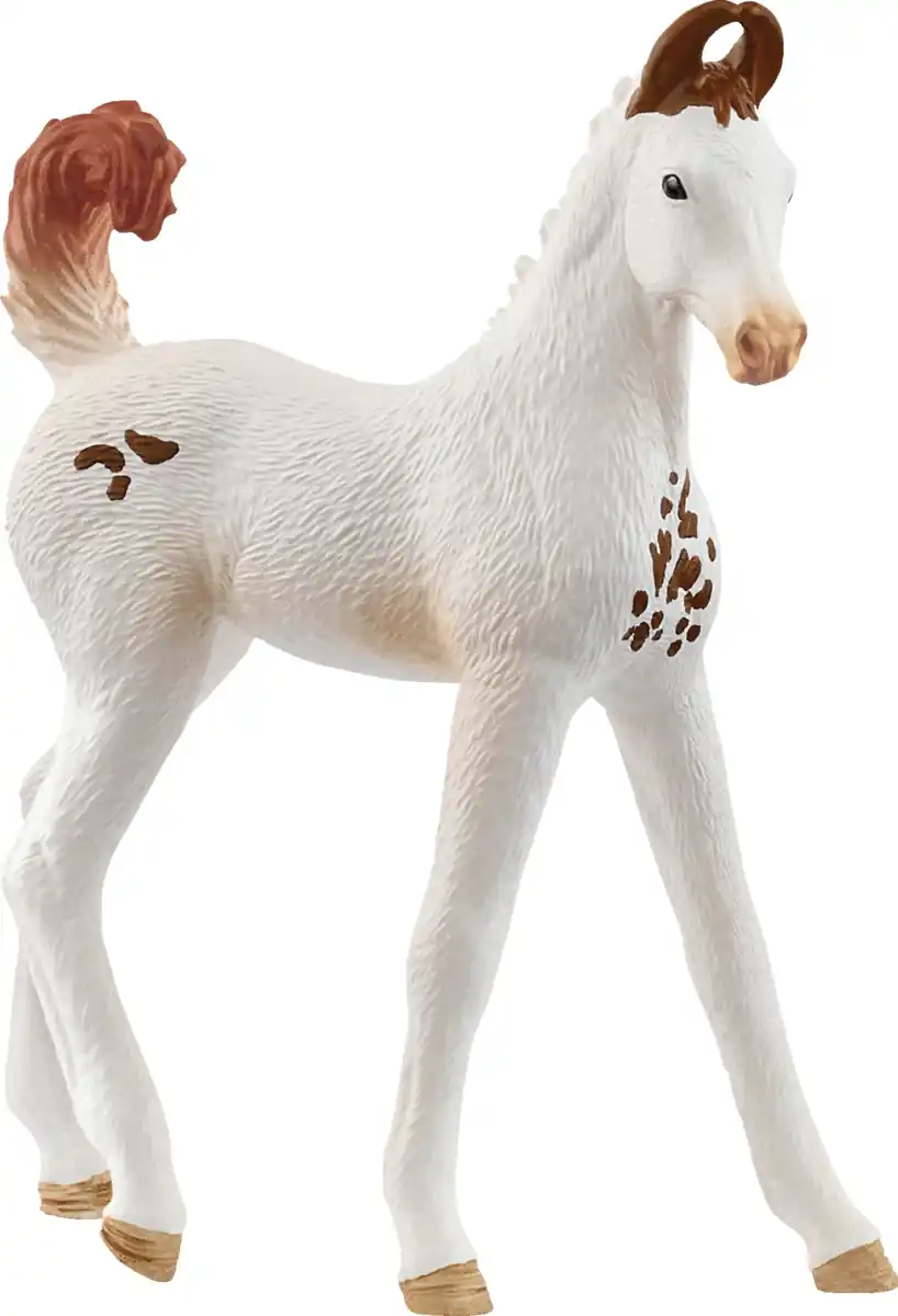 Bild 1 von Schleich 14896 Marwari Fohlen