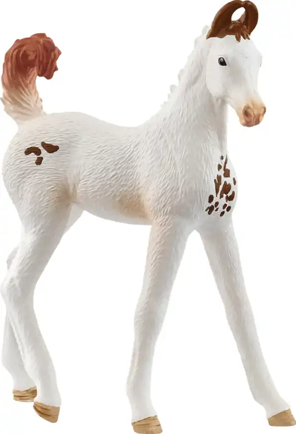 Bild 1 von Schleich 14896 Marwari Fohlen