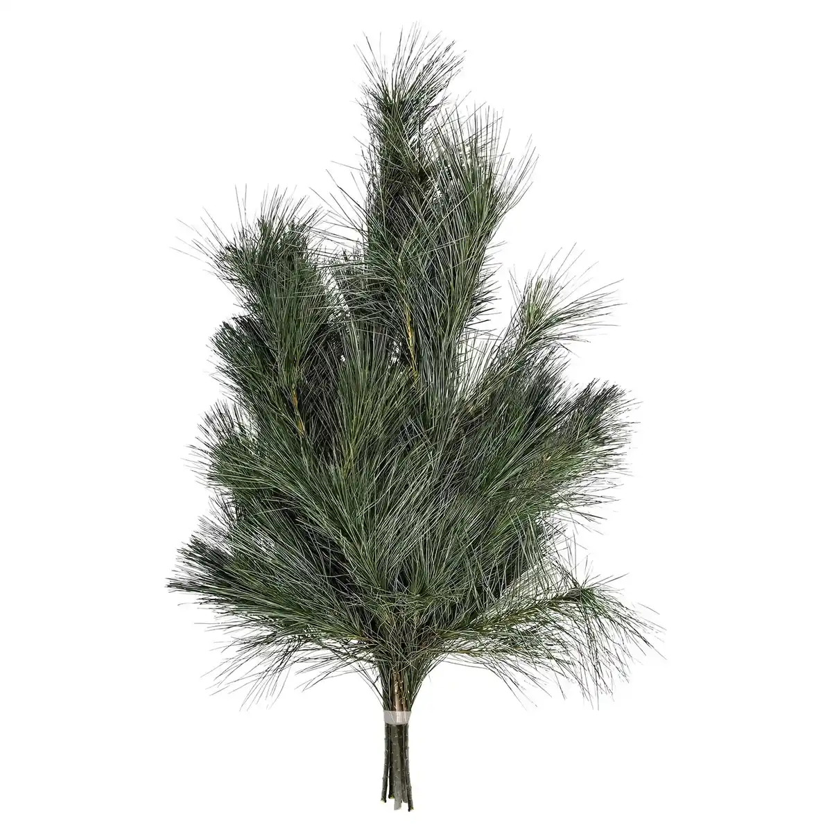 Bild 1 von GARDENLINE Tannenhandbunde 550 g, Kiefer