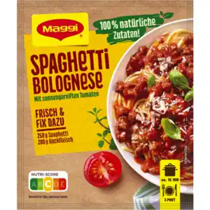 Maggi Fix, Herzensküche oder Food Travel Würzpaste