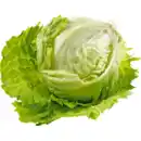 Bild 1 von Eisbergsalat