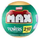 Bild 1 von ZURU Max Kapsel