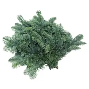 GARDENLINE Tannenhandbunde 550 g, Nobilis