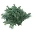 Bild 1 von GARDENLINE Tannenhandbunde 550 g, Nobilis