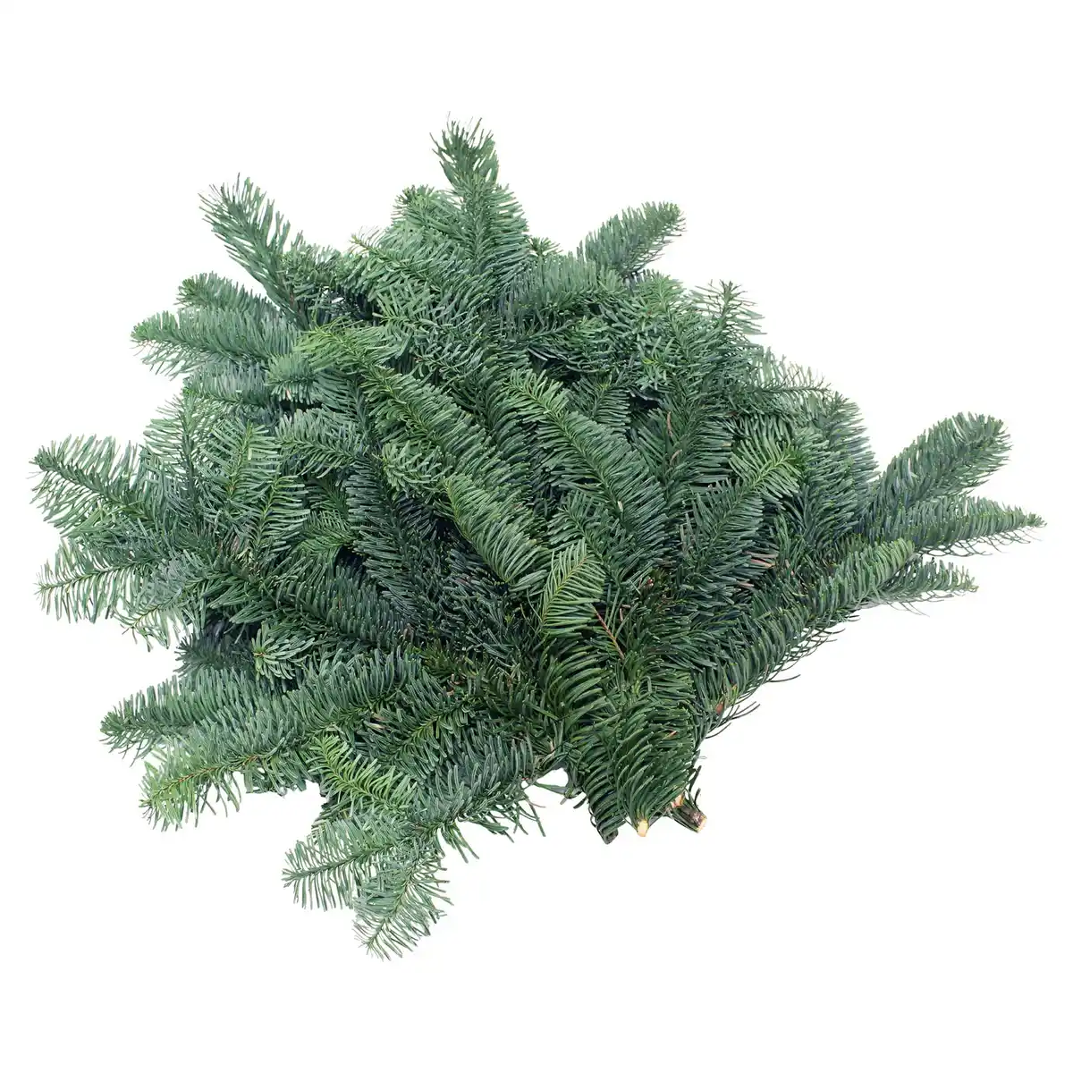 Bild 1 von GARDENLINE Tannenhandbunde 550 g, Nobilis