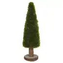 Bild 1 von GARDENLINE Moosbaum 40 cm