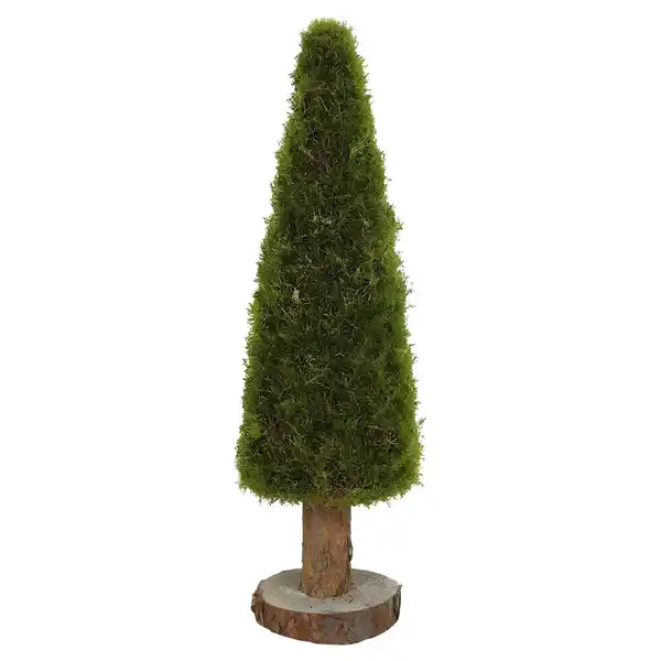 Bild 1 von GARDENLINE Moosbaum 40 cm