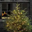 Bild 1 von IDEENWELT Express-Weihnachtsbaumlichterkette