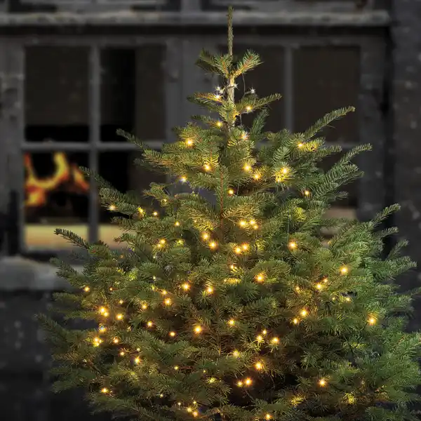 Bild 1 von IDEENWELT Express-Weihnachtsbaumlichterkette