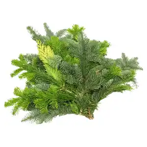 GARDENLINE Tannenhandbunde 550 g, Mix