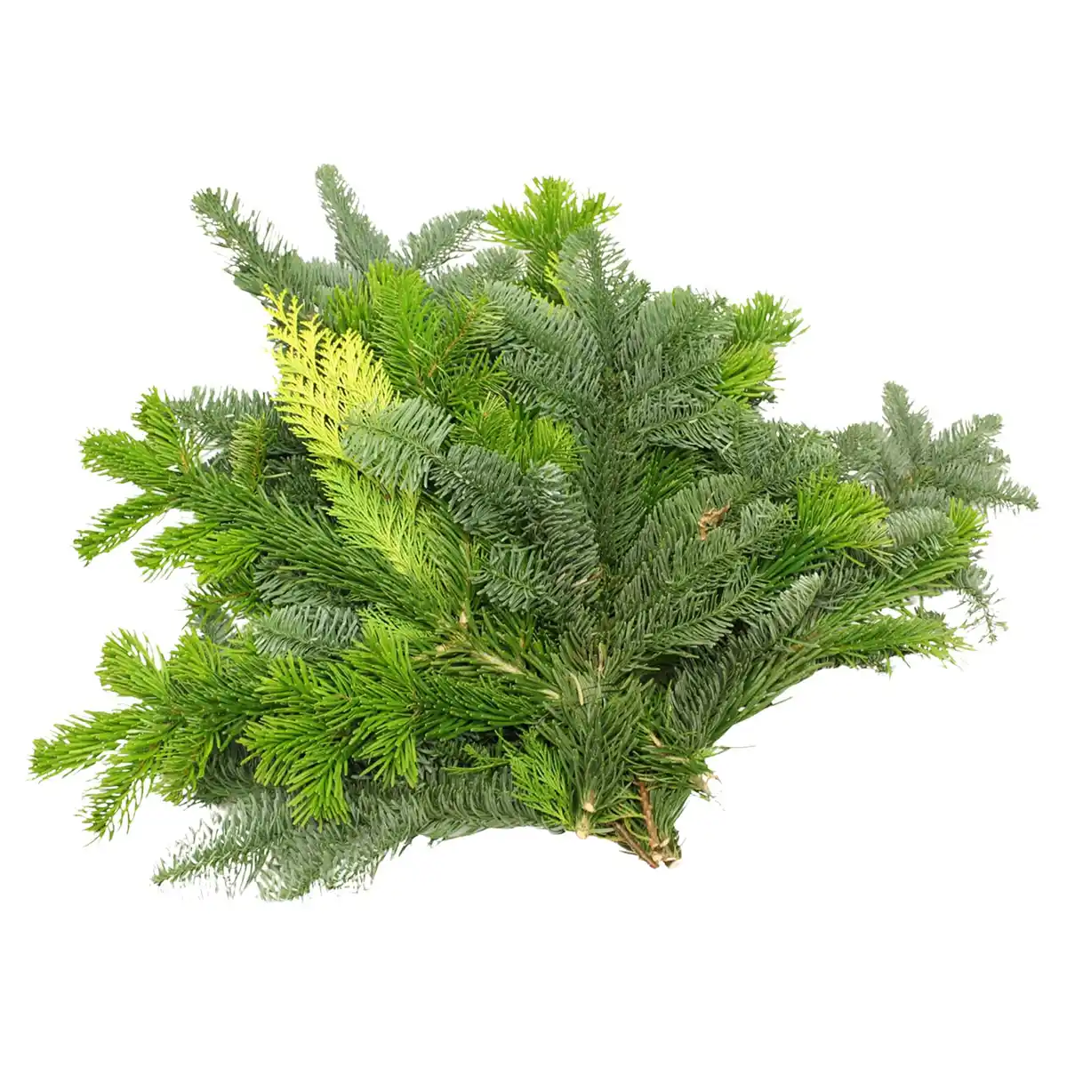 Bild 1 von GARDENLINE Tannenhandbunde 550 g, Mix