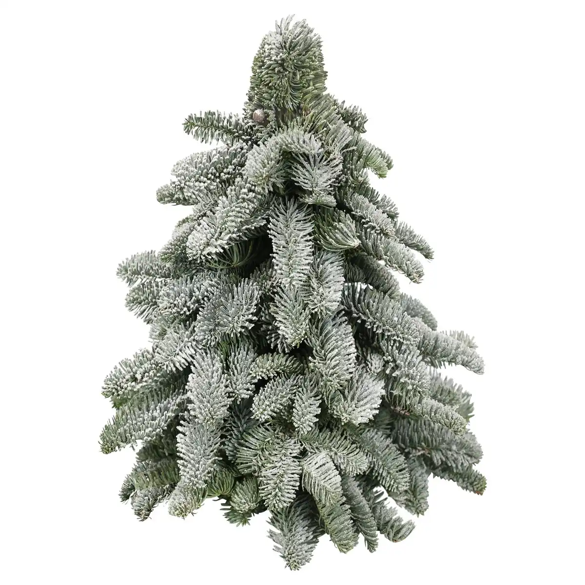 Bild 1 von GARDENLINE Nobilisbaum mit Schnee 30 cm