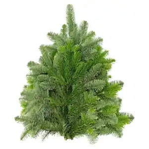 GARDENLINE Tannenhandbunde 2.500 g, Nordmann