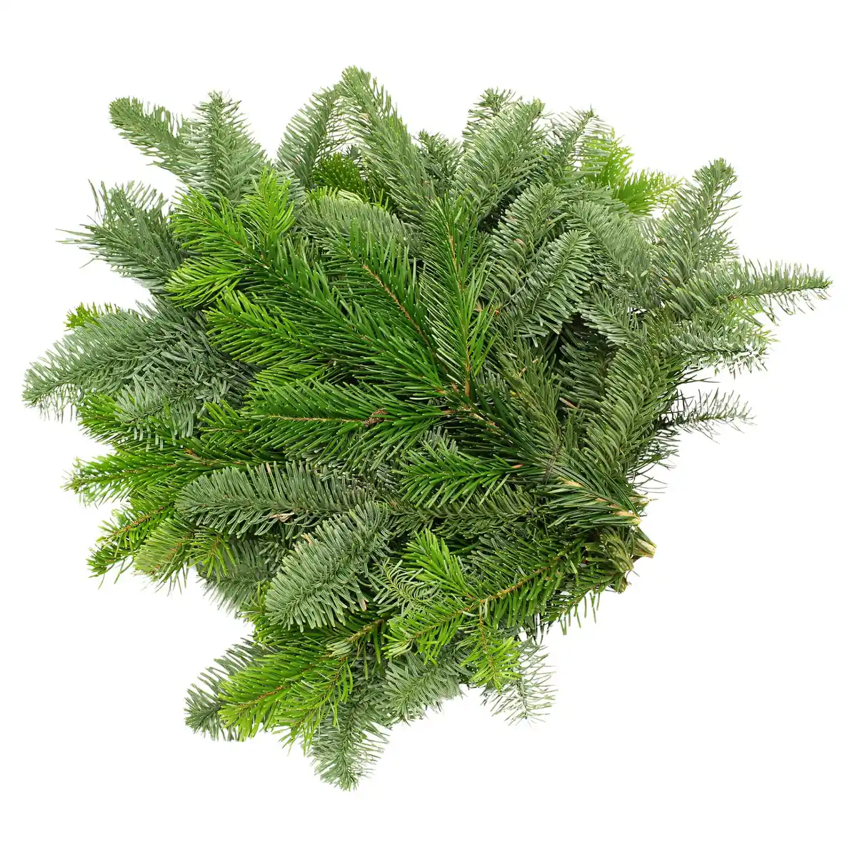 Bild 1 von GARDENLINE Tannenhandbunde 550 g, Nordmann