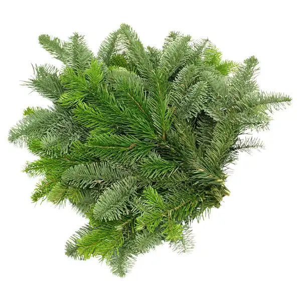 Bild 1 von GARDENLINE Tannenhandbunde 550 g, Nordmann