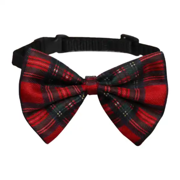 Bild 3 von CACHET&ROMEO Halsband