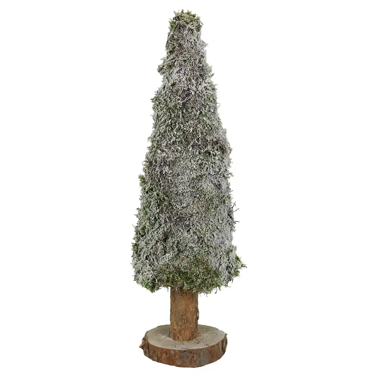 Bild 1 von GARDENLINE Moosbaum mit Schnee 40 cm