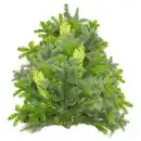 Bild 1 von GARDENLINE Tannenhandbunde 2.500 g, Mix