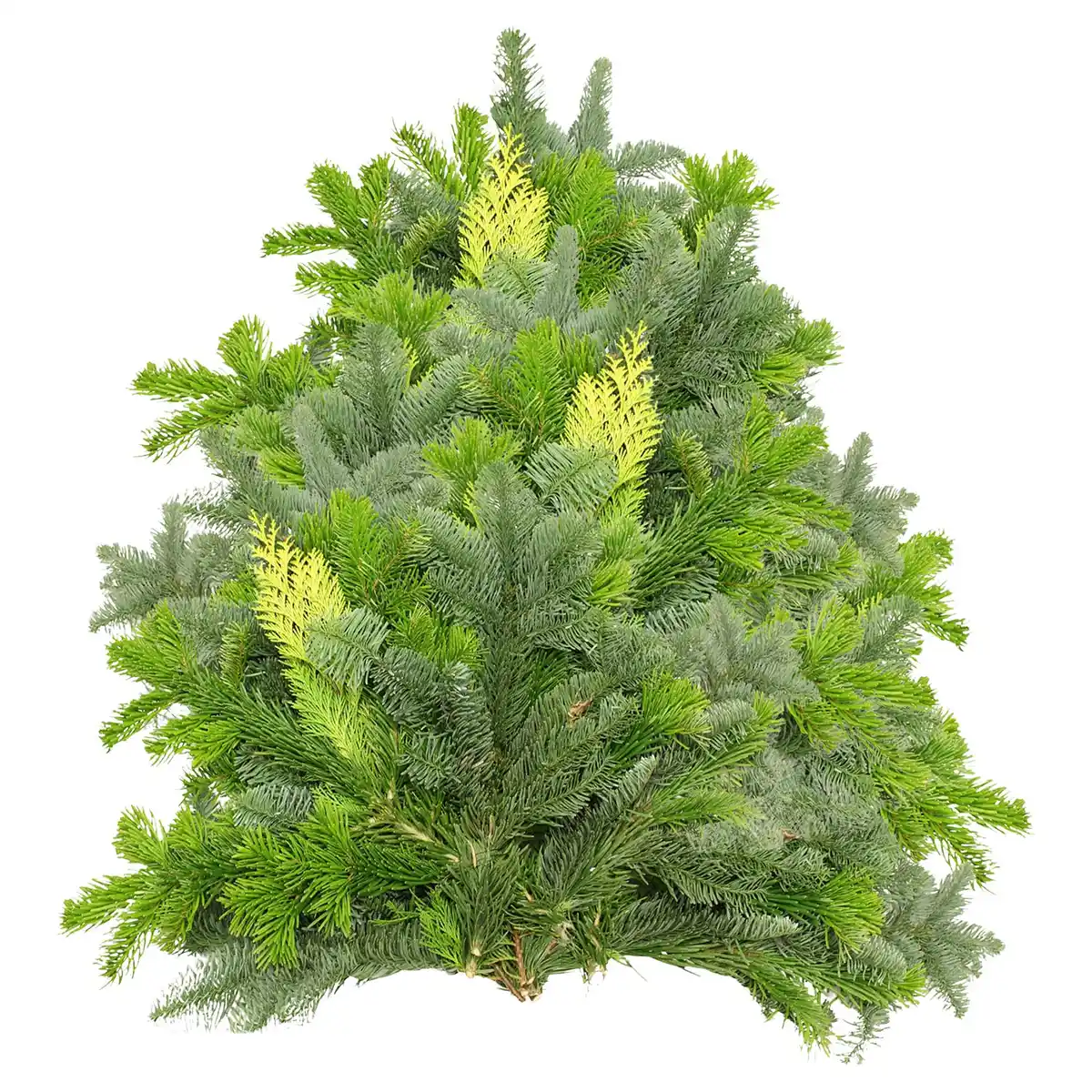 Bild 1 von GARDENLINE Tannenhandbunde 2.500 g, Mix