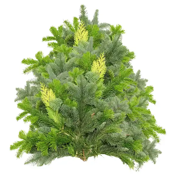 Bild 1 von GARDENLINE Tannenhandbunde 2.500 g, Mix