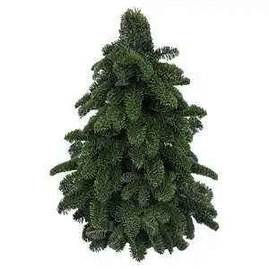 GARDENLINE Nobilisbaum 30 cm