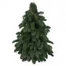 Bild 1 von GARDENLINE Nobilisbaum 30 cm