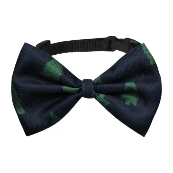 Bild 2 von CACHET&ROMEO Halsband