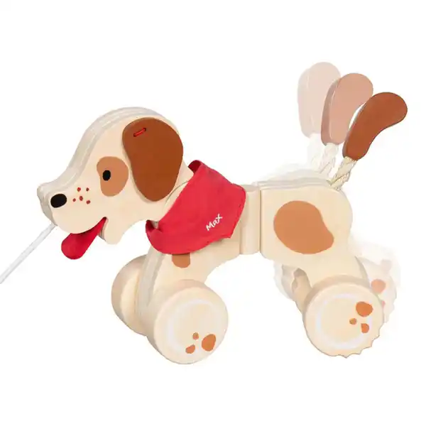 Bild 1 von Goki - Ziehtier - Hund Max