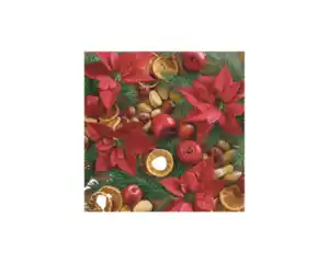 Servietten 20er 25x25cm Nüsse