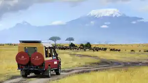 Kenia - Safari Amboseli & Baden auf Sansibar