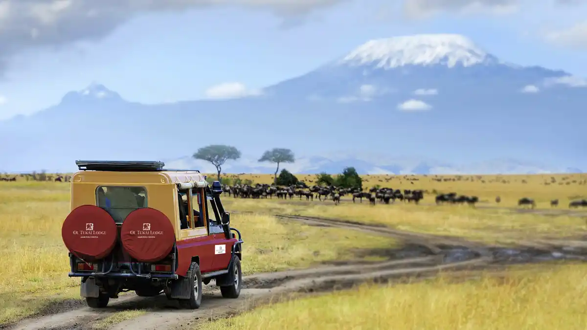 Bild 1 von Kenia - Safari Amboseli & Baden auf Sansibar