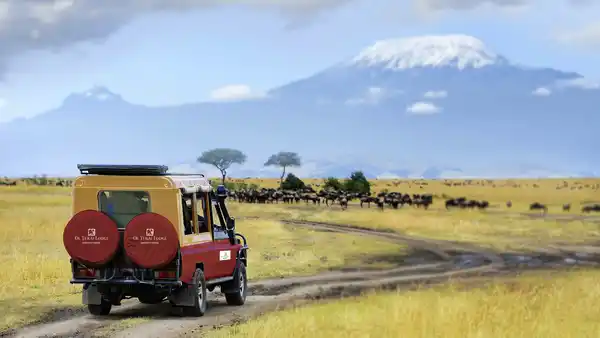 Bild 1 von Kenia - Safari Amboseli & Baden auf Sansibar