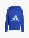 Bild 1 von adidas Hoodie