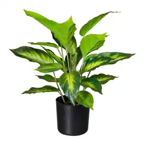 Kunstpflanze Grünpflanzen Grün/Schwarz ca. 45cm, Grün