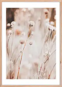 Bild Image ca. 50x70cm, Weiß, Beige