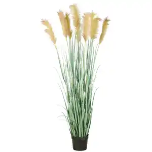 Kunstpflanze Cortaderiagras Creme/Grau/Grün ca. 175cm, Creme, Grau, Grün