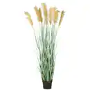 Bild 1 von Kunstpflanze Cortaderiagras Creme/Grau/Grün ca. 175cm, Creme, Grau, Grün