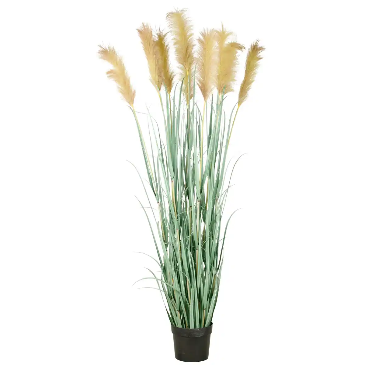 Bild 1 von Kunstpflanze Cortaderiagras Creme/Grau/Grün ca. 175cm, Creme, Grau, Grün
