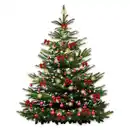 Bild 4 von Weihnachtsbaum