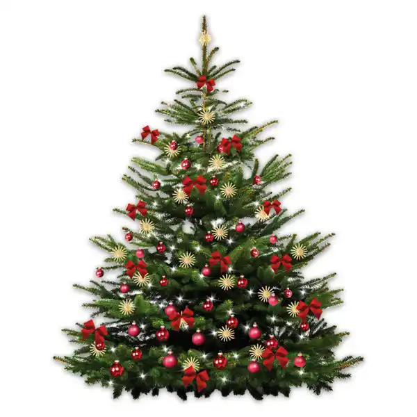 Bild 4 von Weihnachtsbaum