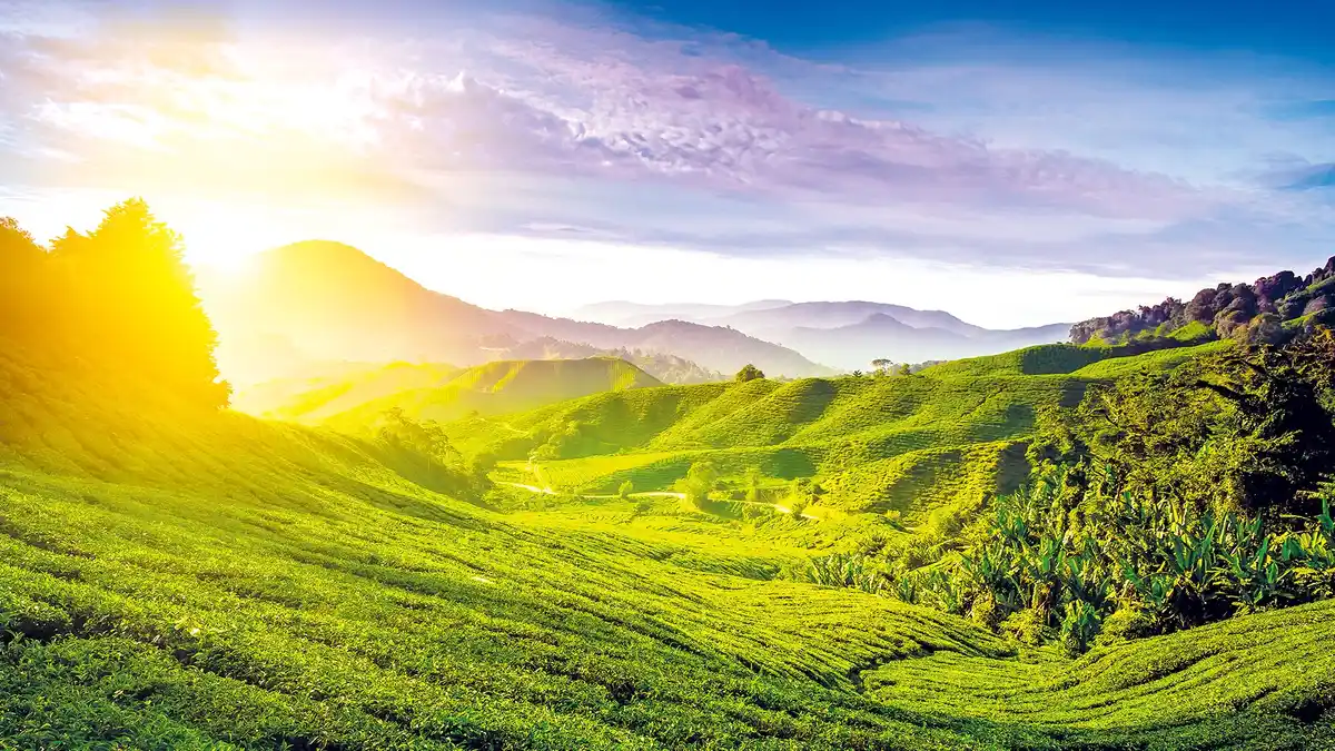 Bild 1 von Magische Wunderwelt Malaysia & Singapur