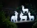 Bild 3 von LIV&BO® LED-Deko-Figuren »Rentiere«