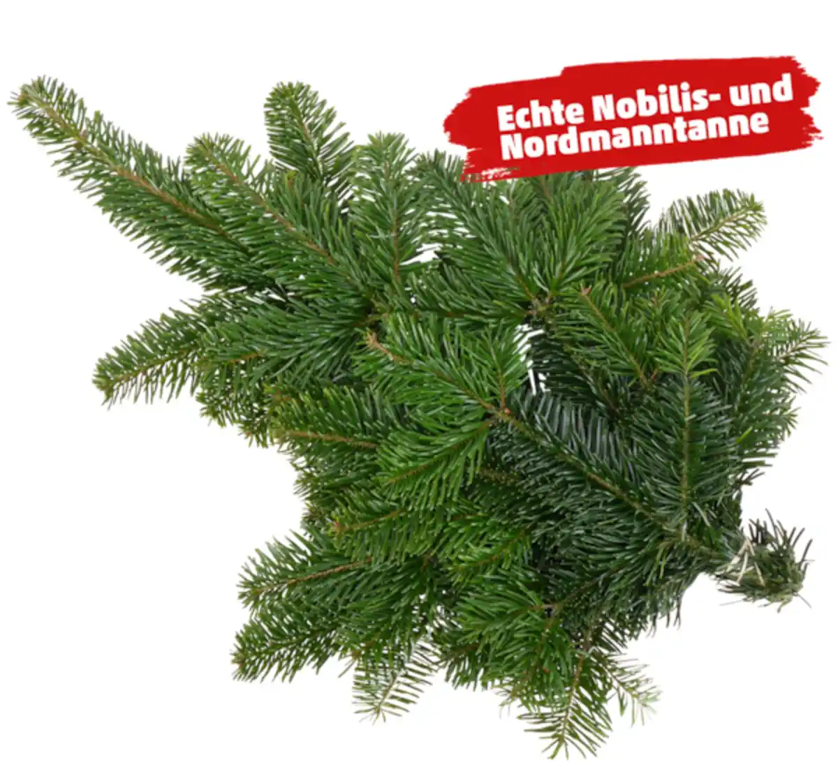 Bild 1 von Handbund*