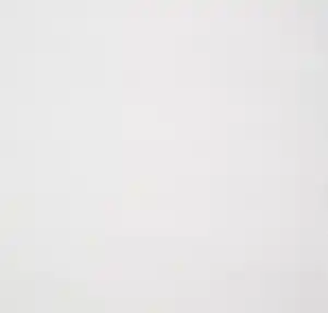 Vliestapete Meistervlies »Protect«