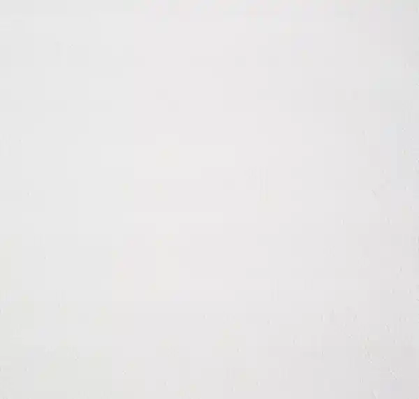 Bild 1 von Vliestapete Meistervlies »Protect«