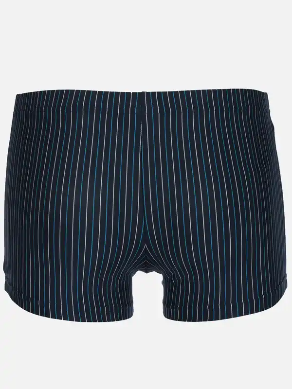 Bild 2 von Herren Pants im 5er Pack Blau