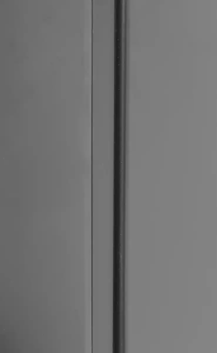 Bild 4 von 3er Mülltonnenbox, ca. 240 x 80 x 122 cm - Anthrazit